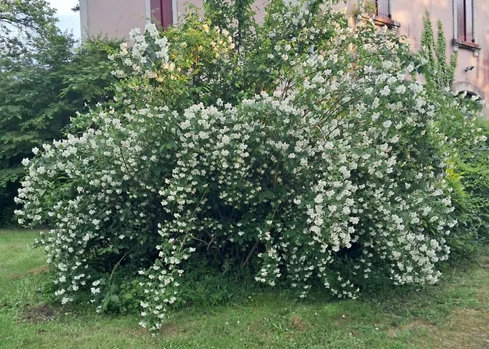 L'ancienne Gare * Gamarde-les-Bains